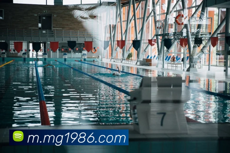 多媒体互动体验