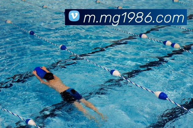 MG娱乐平台官网APP 高清赛事图